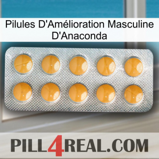 Anaconda Male Enhancement Pills levitra1